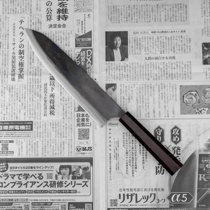 Gyuto 24 cm Hatsukokoro Kokugei Aogami#1/Iron