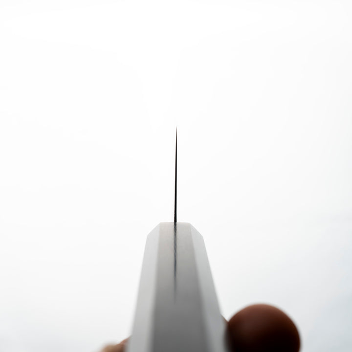 Nakiri 16 cm Hatsukokoro Hikari Kurozame SLD Damascus