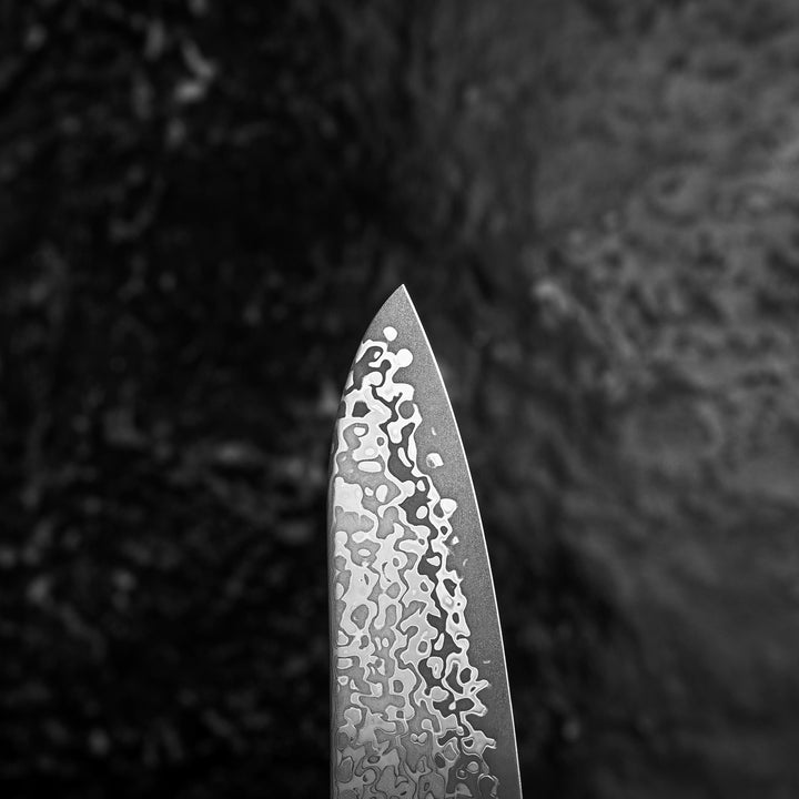 Gyuto 19,5 cm Hatsukokoro Hikari Kurozame SLD Damascus