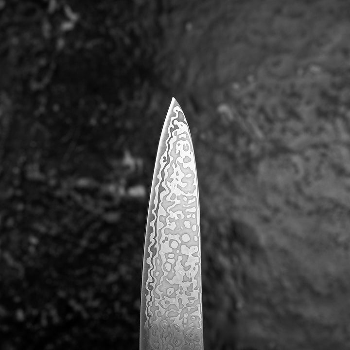 Petty 13 cm Hatsukokoro Hikari Kurozame SLD Damascus