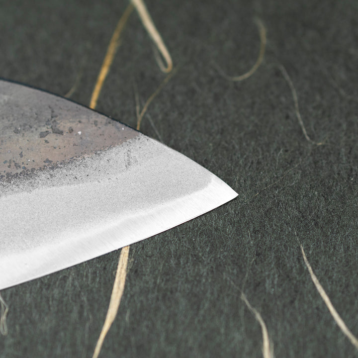 Gyuto 24 cm Hatsukokoro Kokugei Aogami#1/Iron