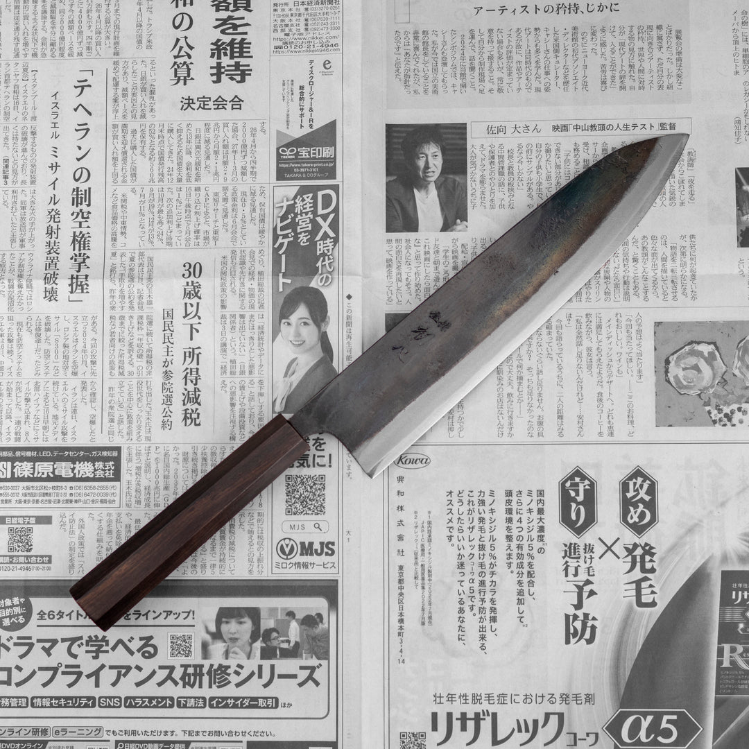 Gyuto 24 cm Hatsukokoro Kokugei Aogami#1/Iron