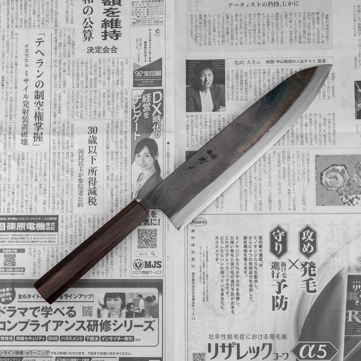 Gyuto 24 cm Hatsukokoro Kokugei Aogami#1/Iron