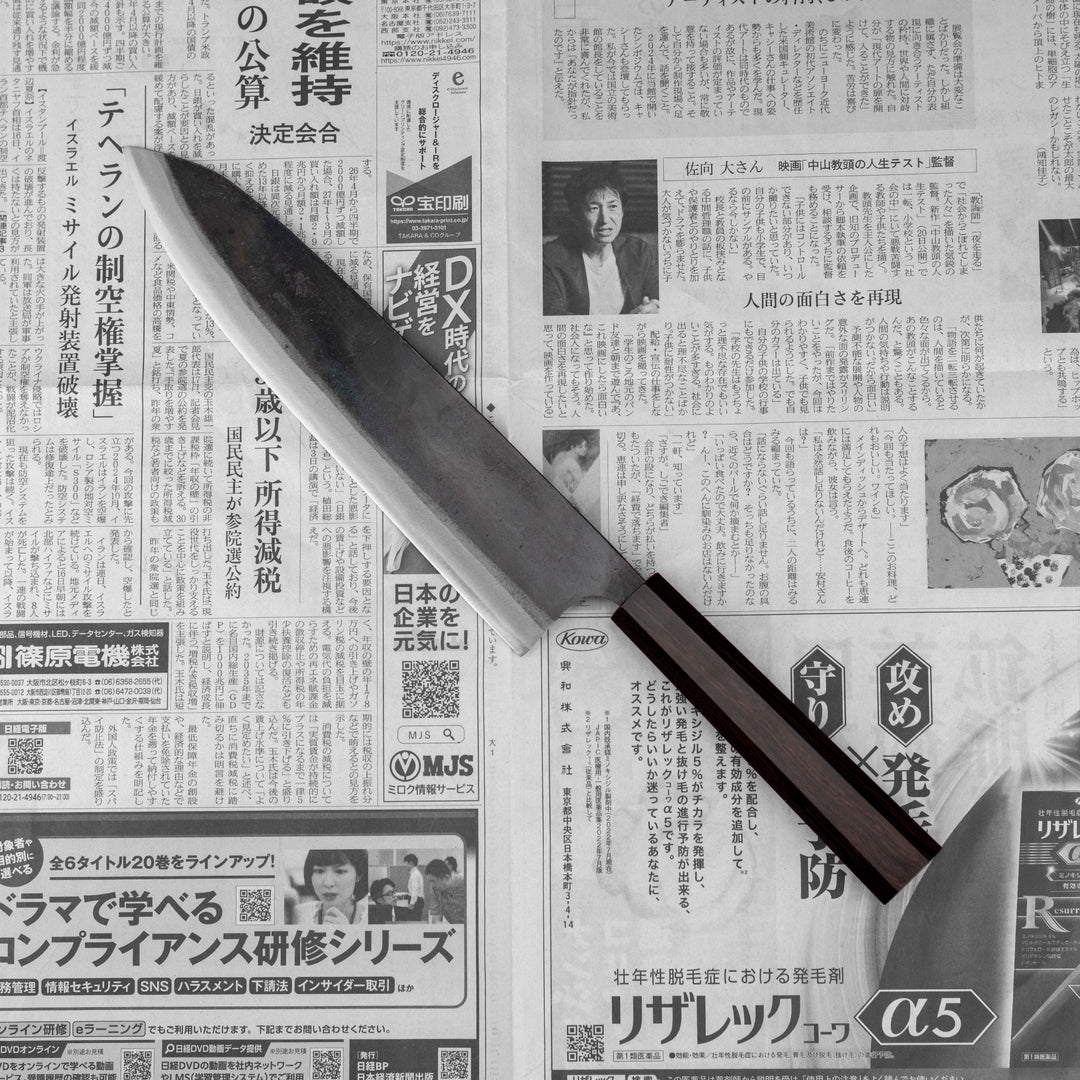 Gyuto 24 cm Hatsukokoro Kokugei Aogami#1/Iron