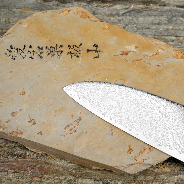 Gyuto 21 cm Hatsukokoro Saihyo Mirror SG2