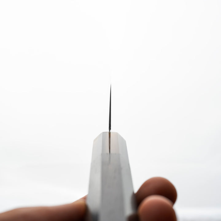 Gyuto 21 cm Hatsukokoro Saihyo Mirror SG2