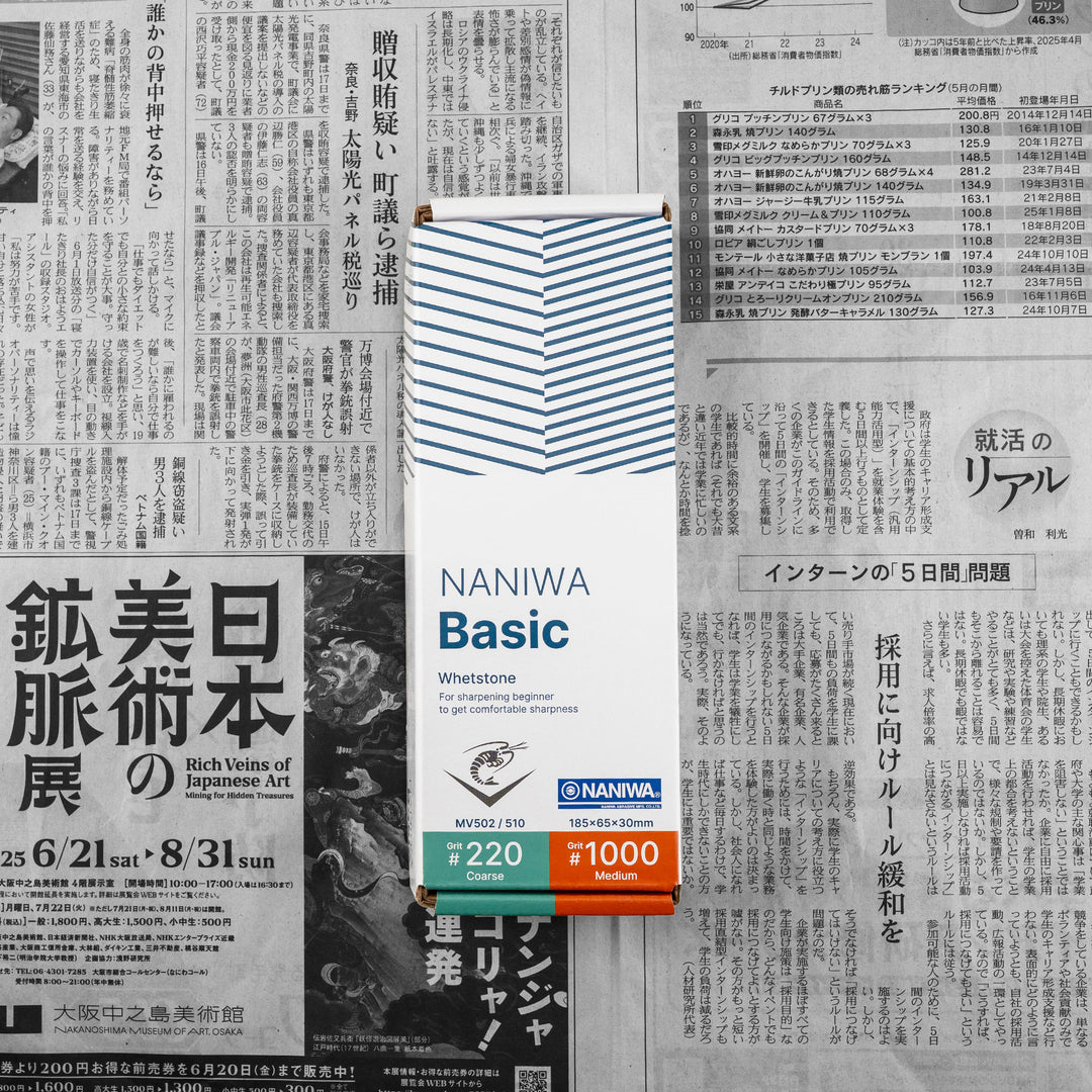 Dwustronny kamień do ostrzenia 220/1000 Naniwa Basic