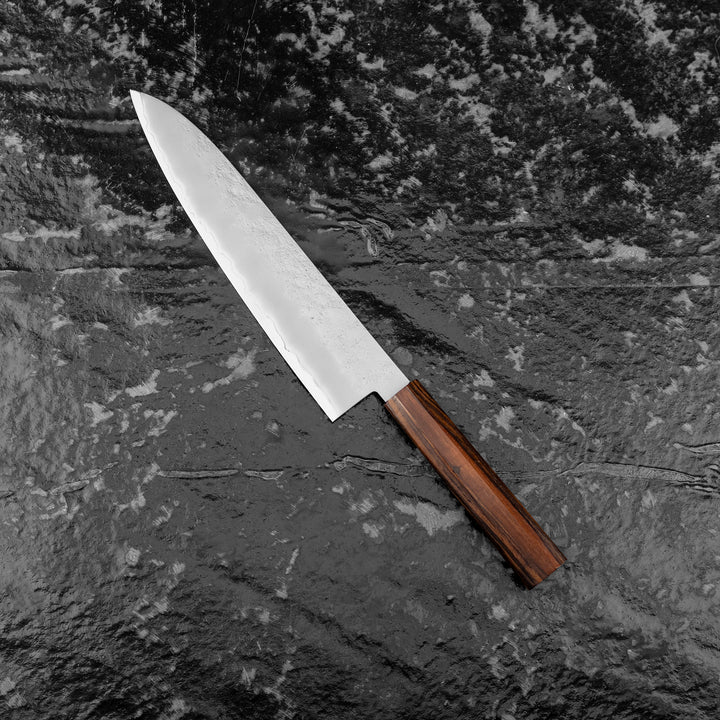 Gyuto 24 cm Sakai Takayuki VG-10 Nashiji