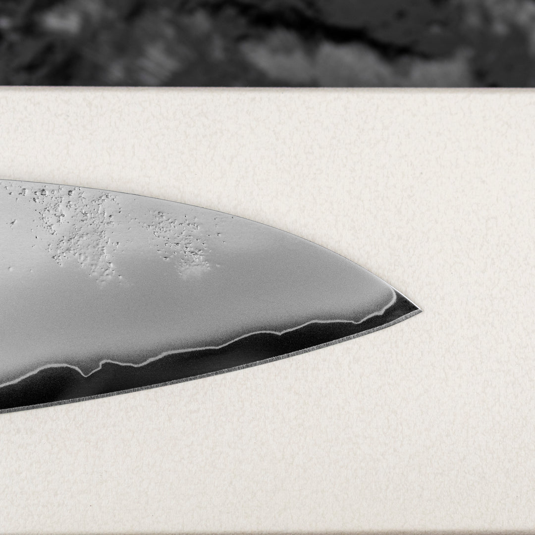 Gyuto 24 cm Sakai Takayuki VG-10 Nashiji