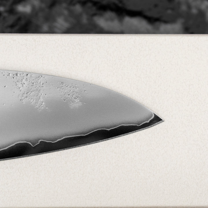 Gyuto 24 cm Sakai Takayuki VG-10 Nashiji