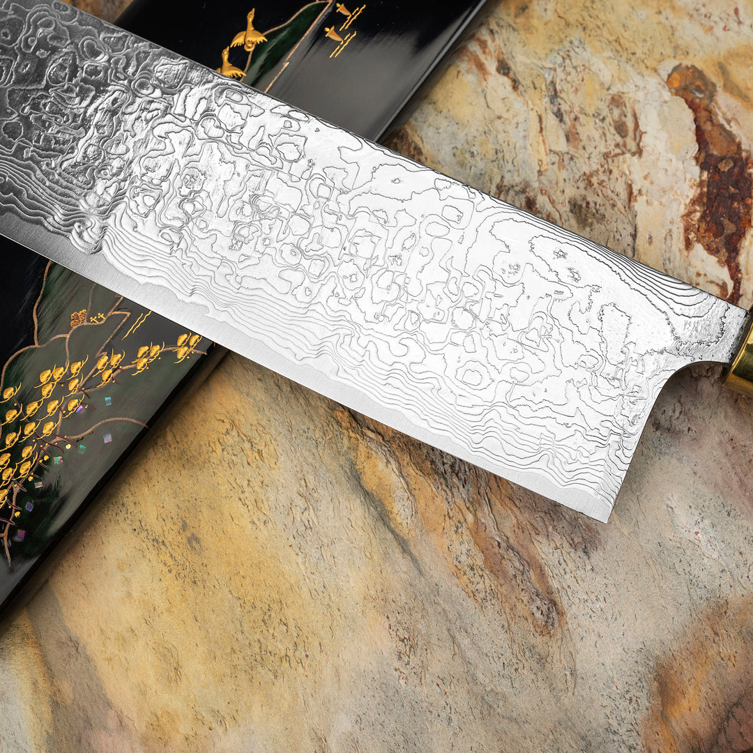 Nakiri 17 cm Takeshi Saji Art Fuji Unique R-2 + Saya