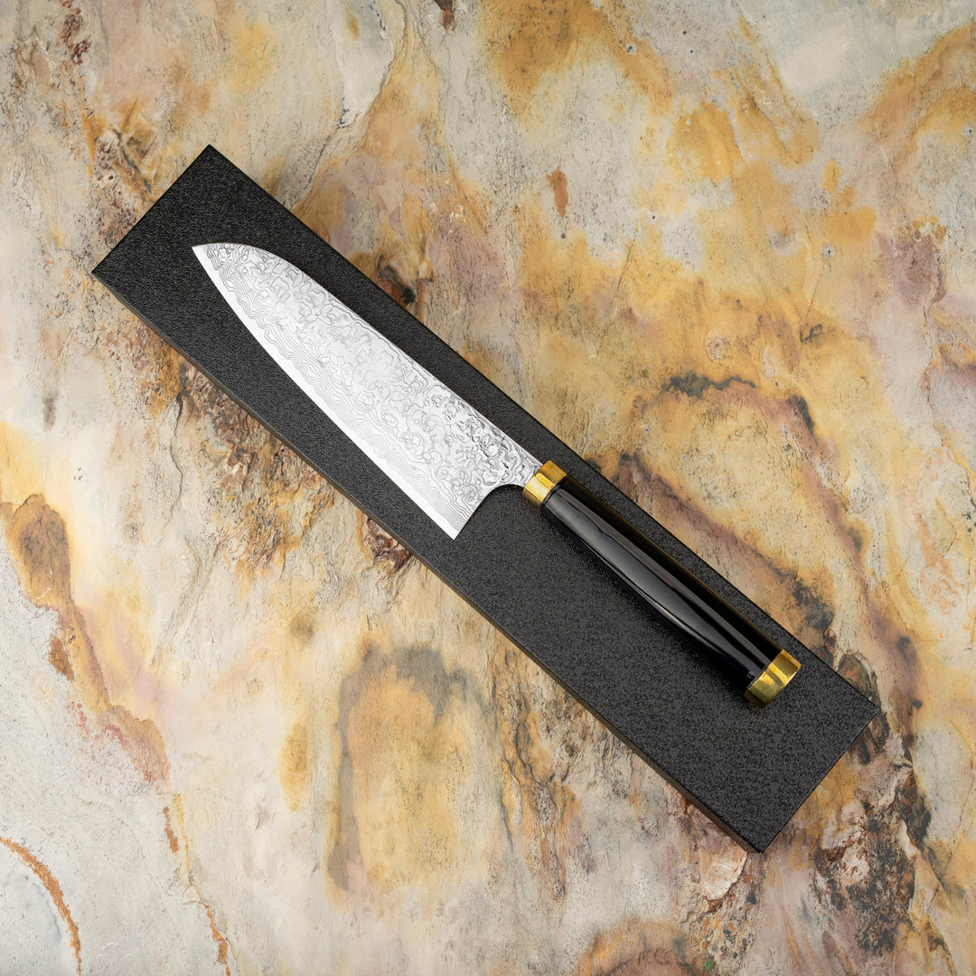 Santoku 18 cm Takeshi Saji Art Fuji Unique R-2 + Saya