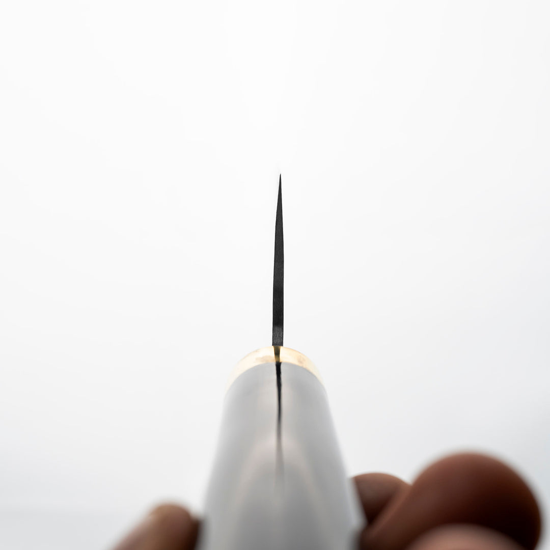 Gyuto 21 cm Takeshi Saji Art Fuji Unique R-2 + Saya