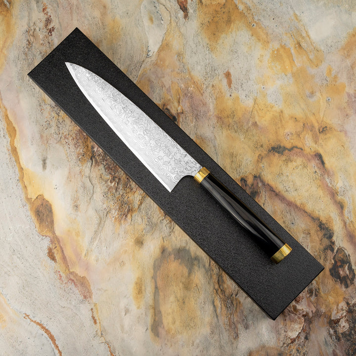 Gyuto 21 cm Takeshi Saji Art Fuji Unique R-2 + Saya