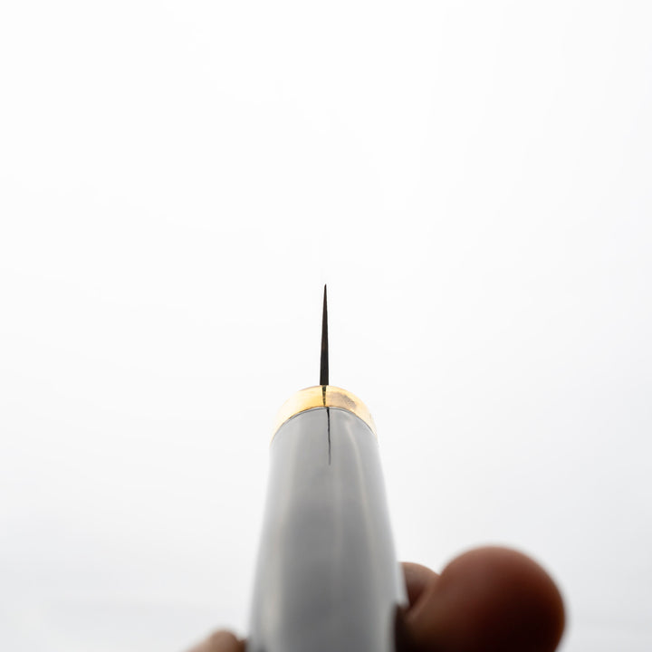 Petty 13 cm Takeshi Saji Art Fuji Unique R-2 + Saya