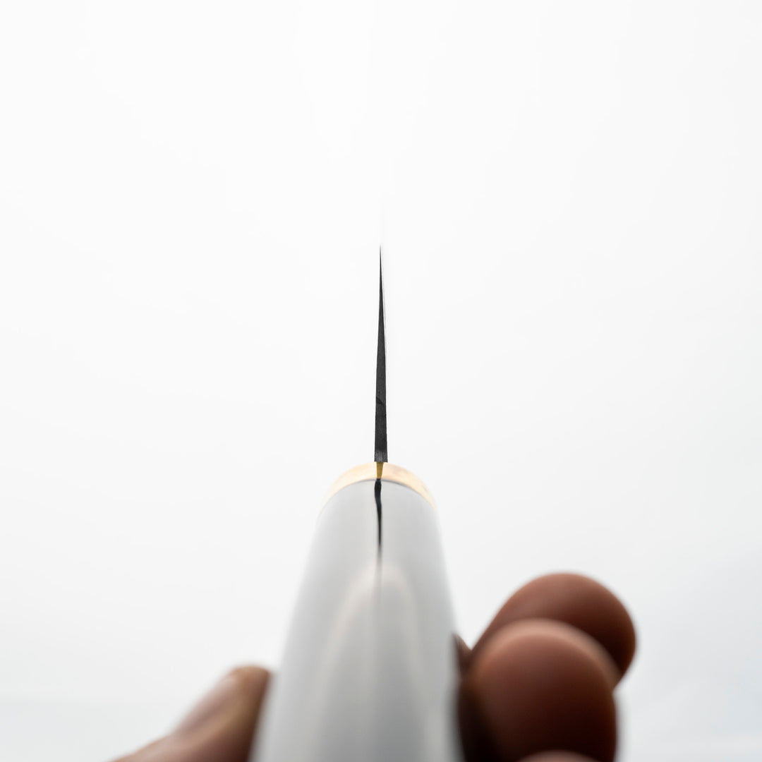 Nakiri 17 cm Takeshi Saji Art Fuji on Lake R-2 + Saya