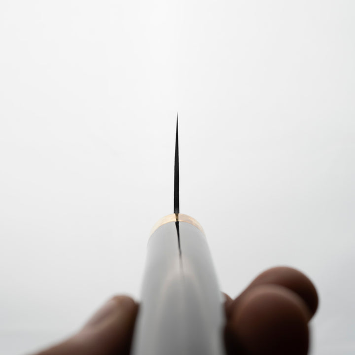 Santoku 18 cm Takeshi Saji Art Fuji on Lake R-2 + Saya