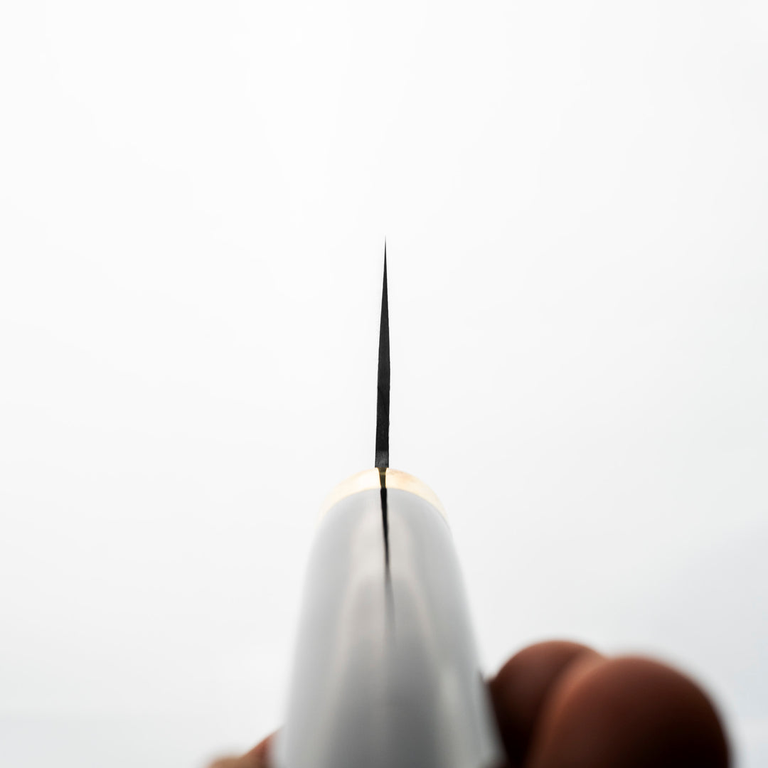 Gyuto 21 cm Takeshi Saji Art Fuji on Lake R-2 + Saya