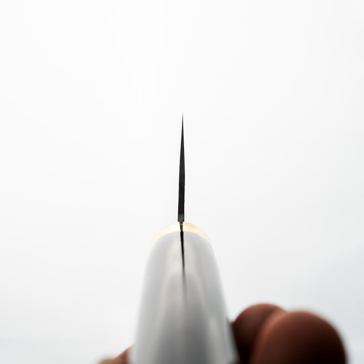 Gyuto 21 cm Takeshi Saji Art Fuji on Lake R-2 + Saya