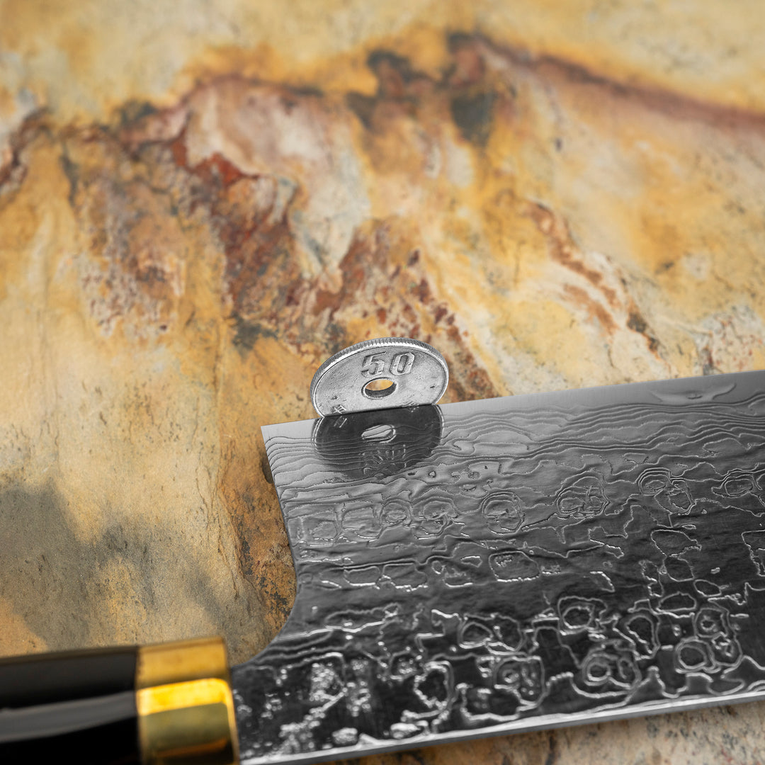 Nakiri 17 cm Takeshi Saji Art Tori Fuji on Lake R-2 + Saya