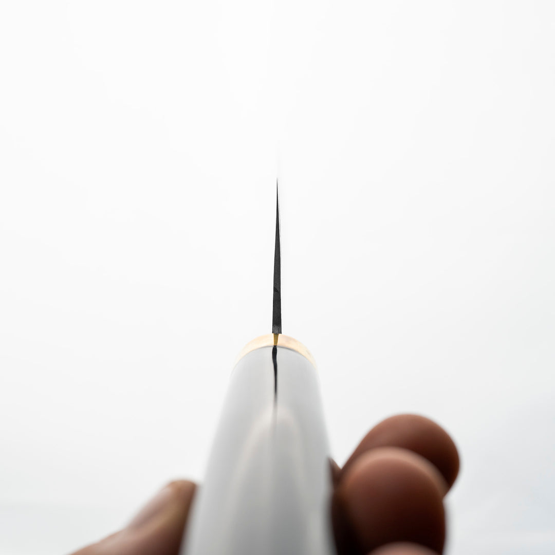 Nakiri 17 cm Takeshi Saji Art Tori Fuji on Lake R-2 + Saya