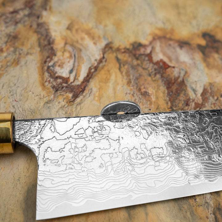 Santoku 18 cm Takeshi Saji Art Tori Fuji on Lake R-2 + Saya