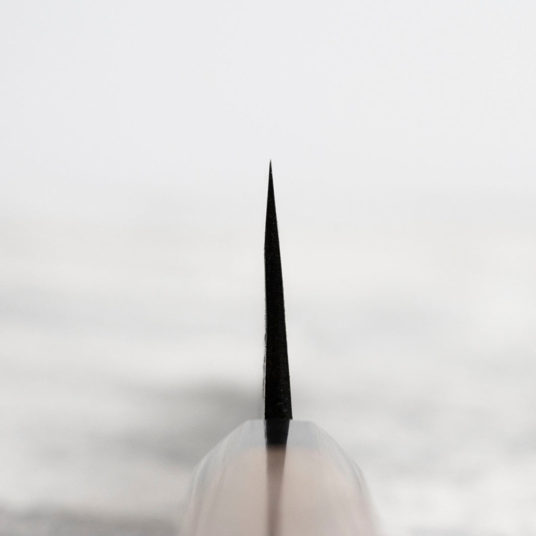 Gyuto 21 cm Sakai Takayuki Aogami#2/Iron Kurouchi
