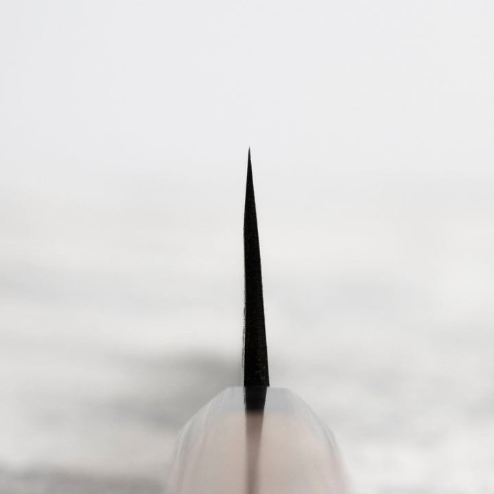 Gyuto 21 cm Sakai Takayuki Aogami#2/Iron Kurouchi