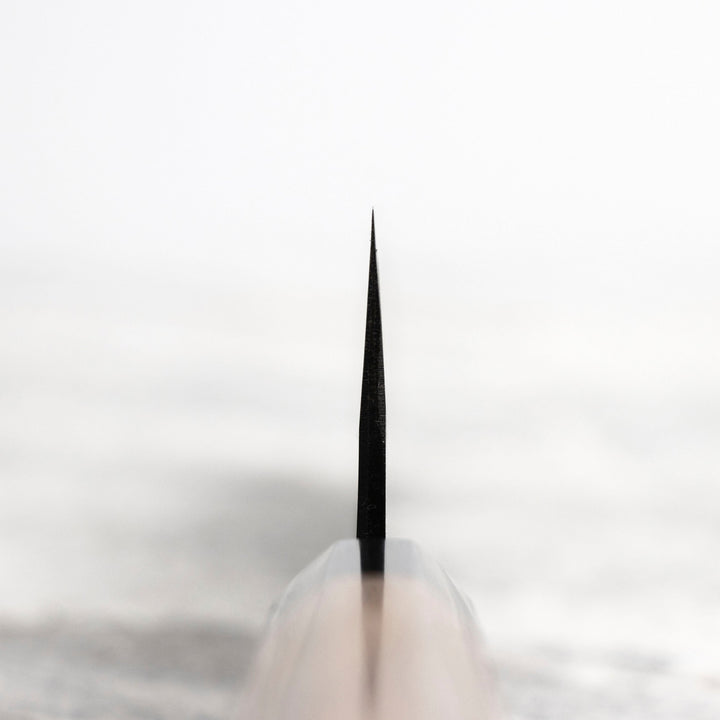 Gyuto 24 cm Sakai Takayuki Aogami#2/Iron Kurouchi