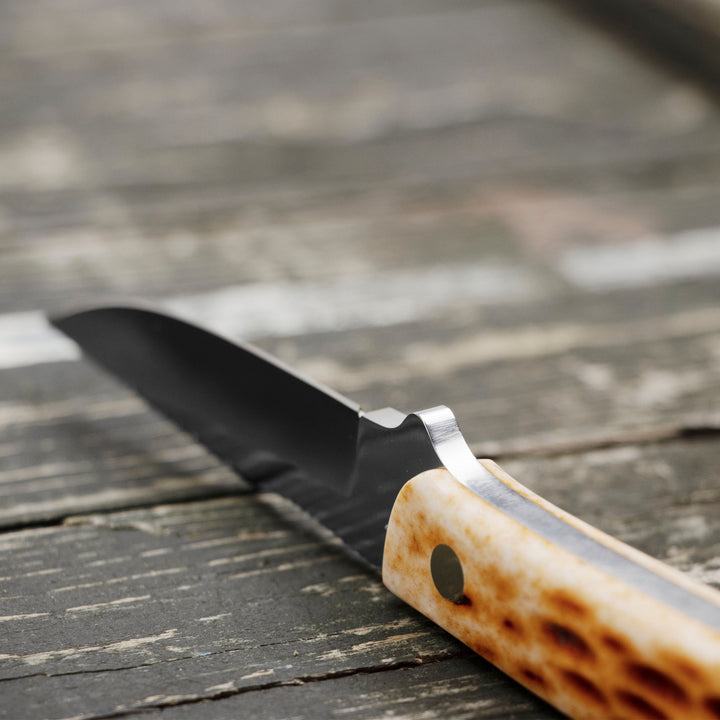 Hattori Utility Hunter VG-10 Stag Bone Outdoor 6,5 cm