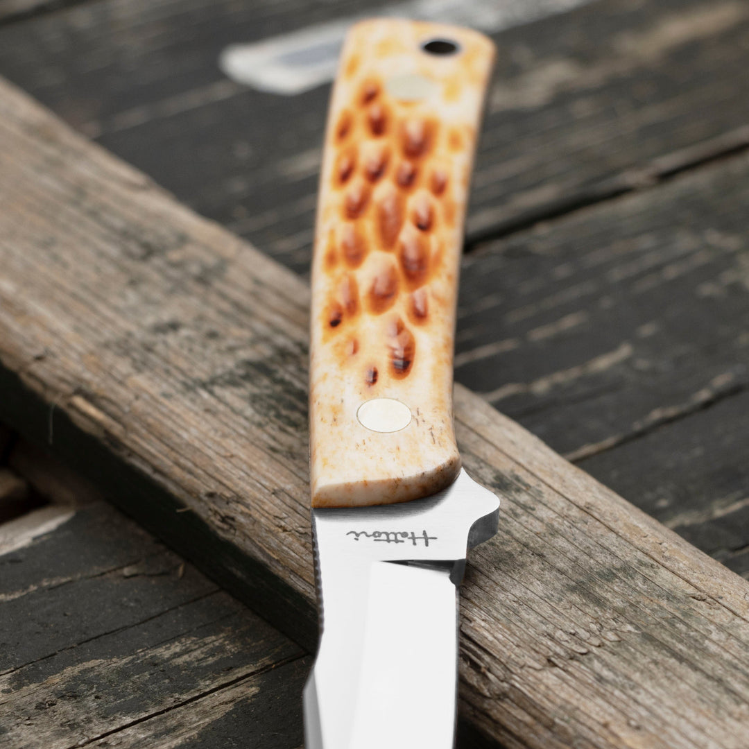 Hattori Utility Hunter VG-10 Stag Bone Outdoor 6,5 cm