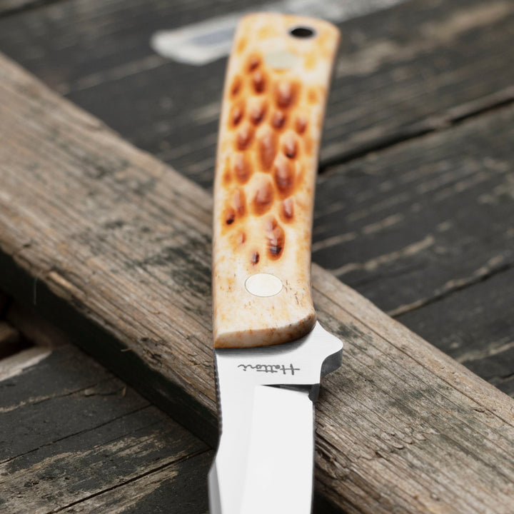 Hattori Utility Hunter VG-10 Stag Bone Outdoor 6,5 cm