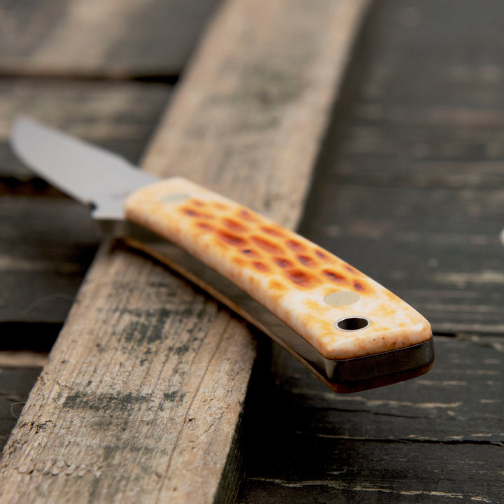 Hattori Utility Hunter VG-10 Stag Bone Outdoor 6,5 cm
